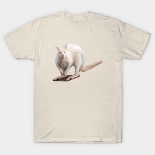 Albino Wallaby T-Shirt